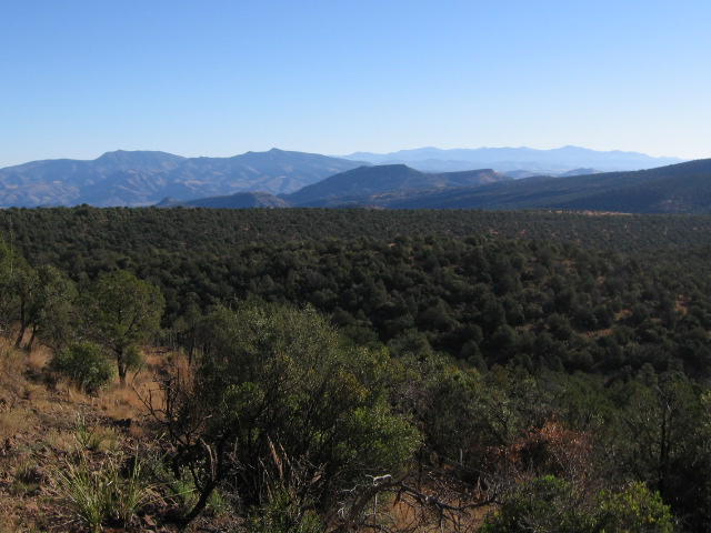 prieto plateau from hl canyon trail.JPG